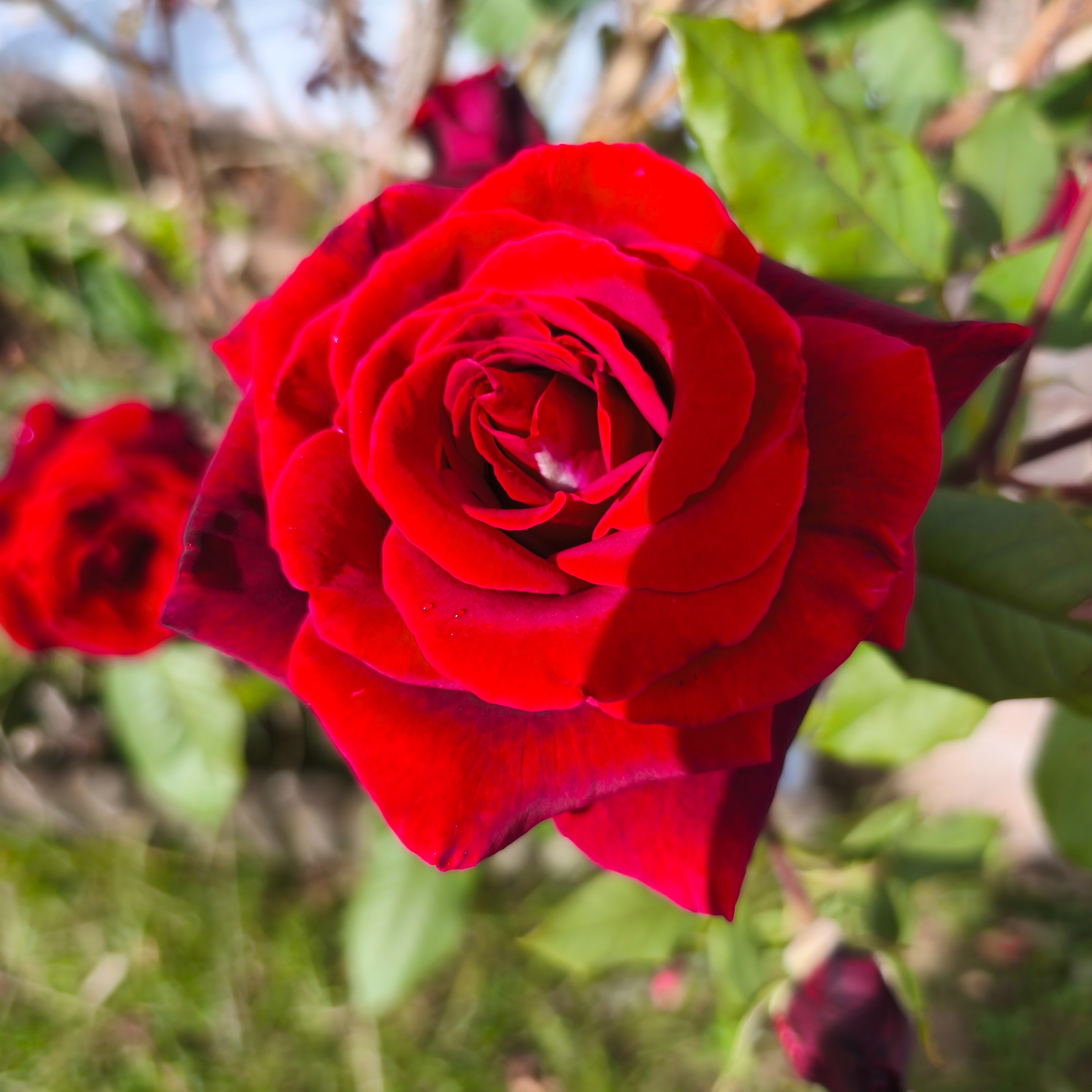 Photo d’Armand CASPAR